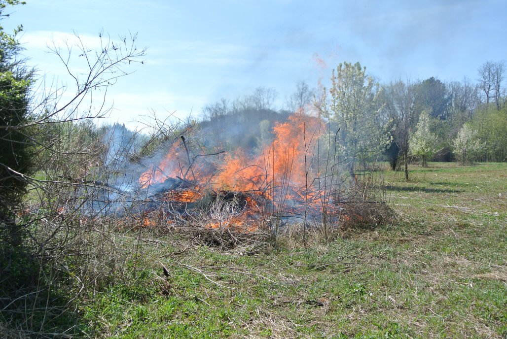 Brush Fire.JPG