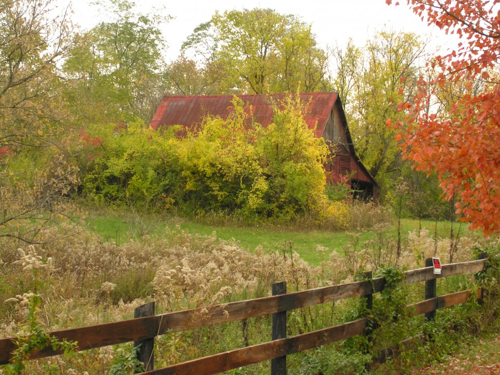 Barn 07 008.jpg