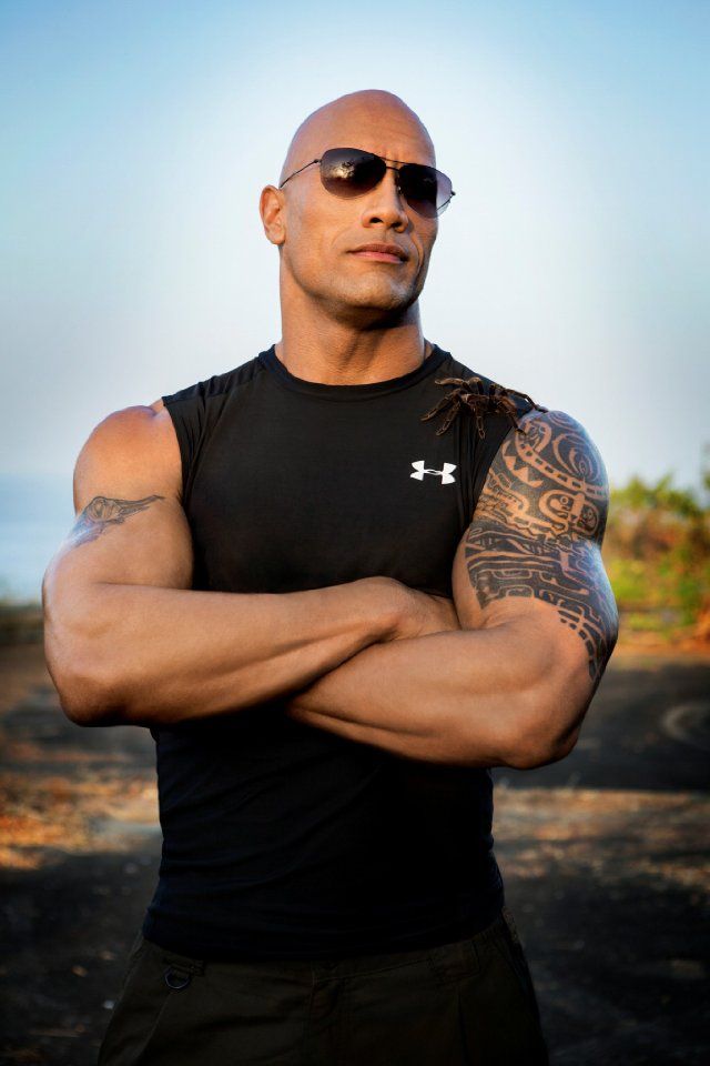 01a086941958ca048b3510ba70673910--the-rock-dwayne-johnson-rock-johnson.jpg